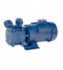 Crompton Heavy Duty Self Priming Pump DMB10DCSL 1 HP