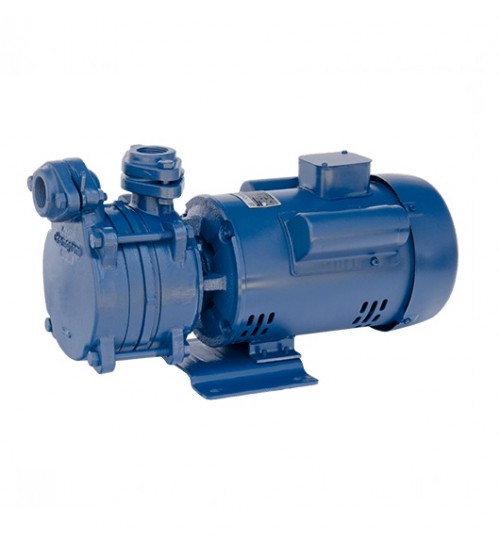 Crompton Heavy Duty Self Priming Pump DMB10DCSL 1 HP