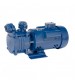 Crompton Heavy Duty Self Priming Pump DMB10DGL(3PH) 1 HP